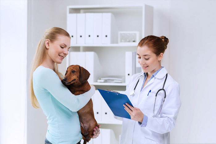 ЭЦП для оформления ветеринарных сертификатов (ГИС Меркурий) в 